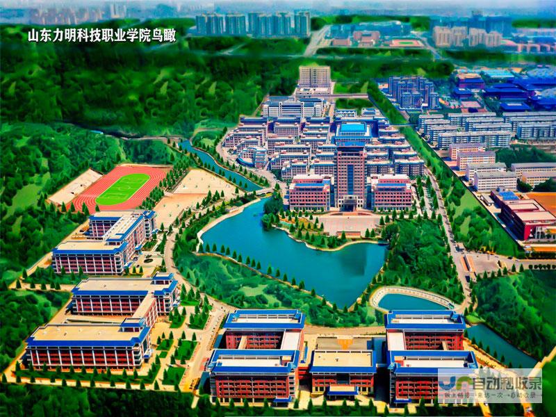 泰安专业SEO服务：定制化策略，精准定位目标客户，实现泰安网站效益最大化