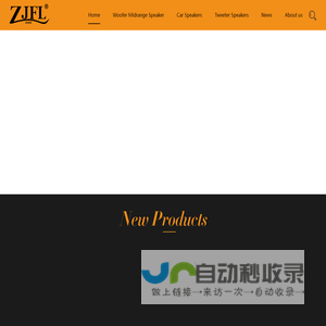 Zhejiang Flying Dragon Electroacoustic CO.,LTD